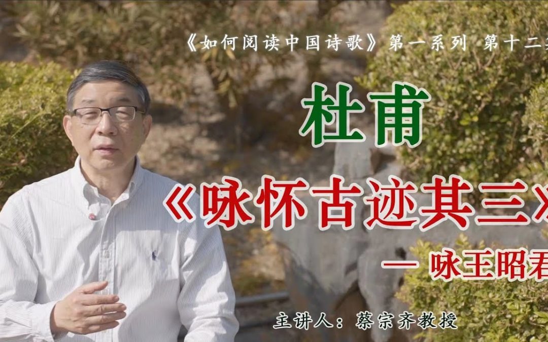 【唐诗之意境 第14集】杜甫七律《咏怀古迹其三》：咏王昭君诗第一？